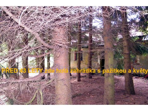 Foto 94